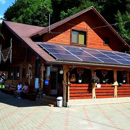 Pensiunea Sequoia Cluj-Napoca Ngoại thất bức ảnh
