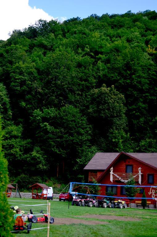 Pensiunea Sequoia Cluj-Napoca Ngoại thất bức ảnh